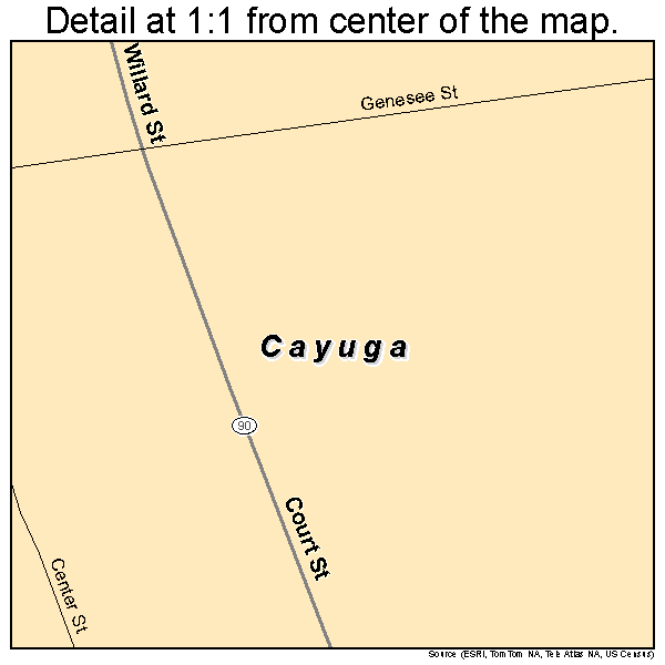 Cayuga, New York road map detail