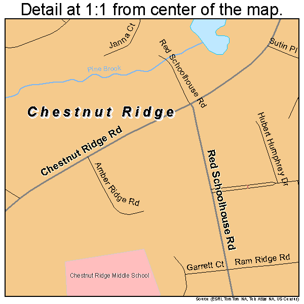Chestnut Ridge, New York road map detail