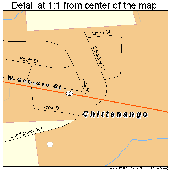 Chittenango, New York road map detail