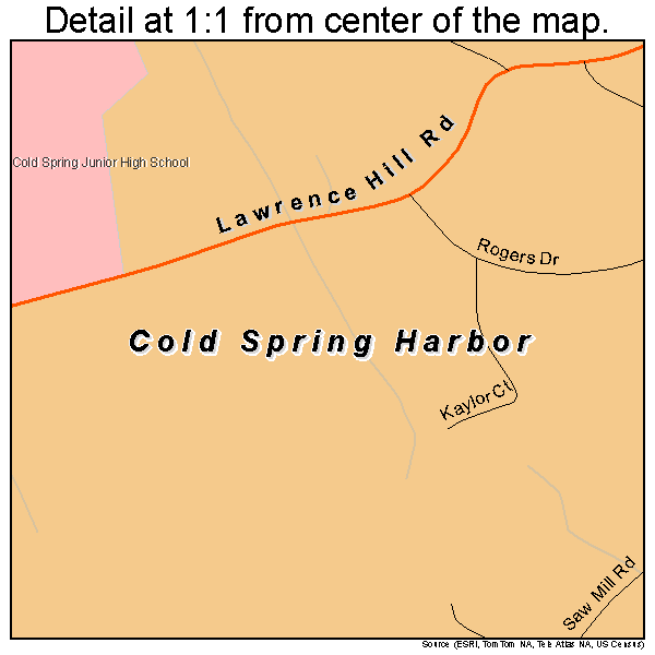 Cold Spring Harbor, New York road map detail