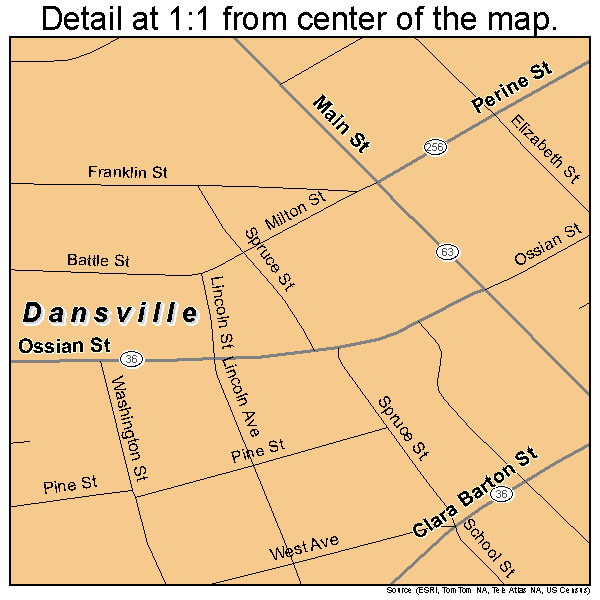 Dansville, New York road map detail