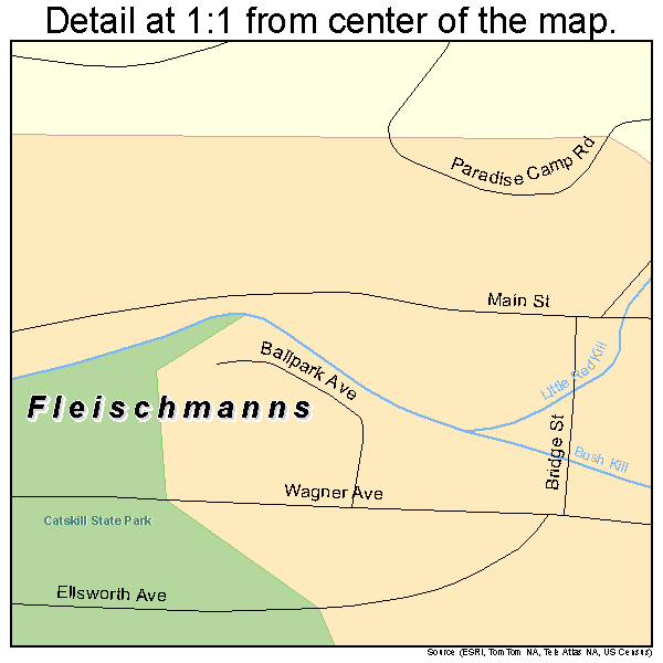 Fleischmanns, New York road map detail