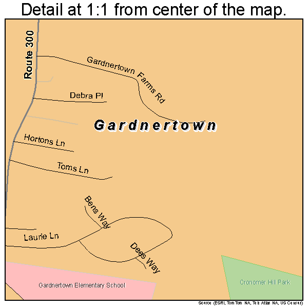 Gardnertown, New York road map detail