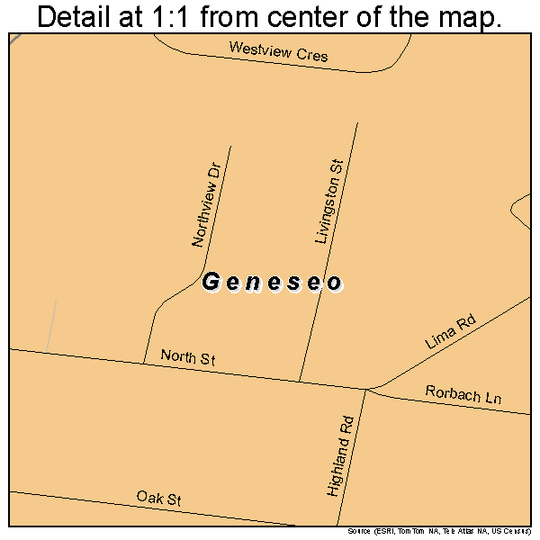 Geneseo, New York road map detail