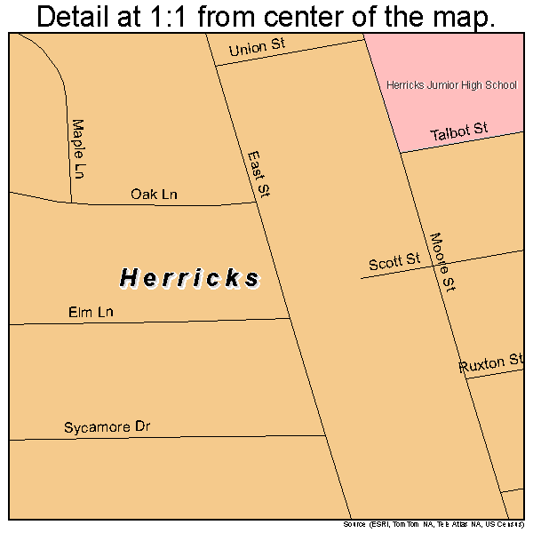 Herricks, New York road map detail