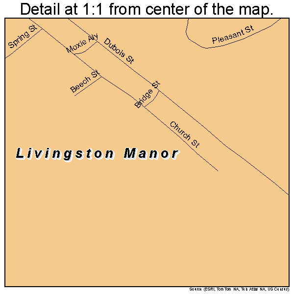Livingston Manor, New York road map detail