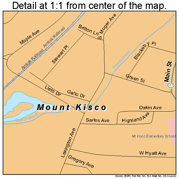 Mount Kisco, New York road map detail