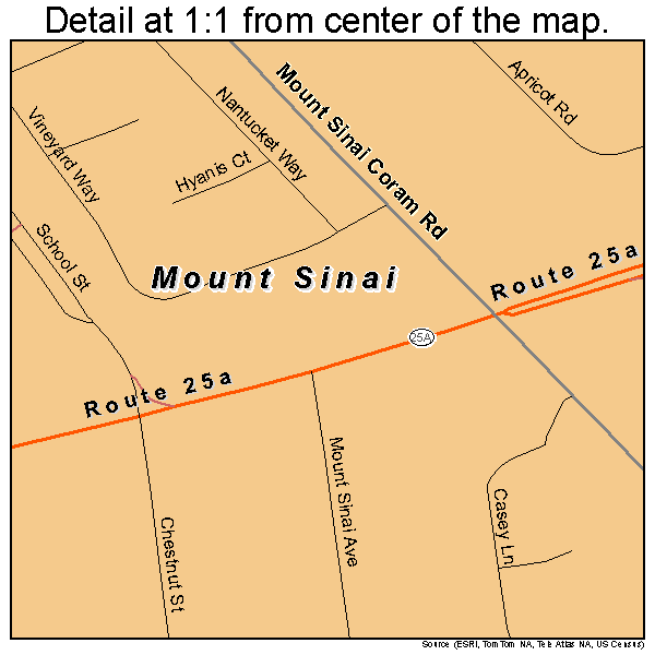 Mount Sinai, New York road map detail