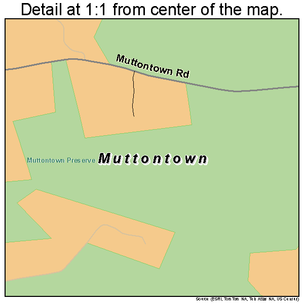Muttontown, New York road map detail
