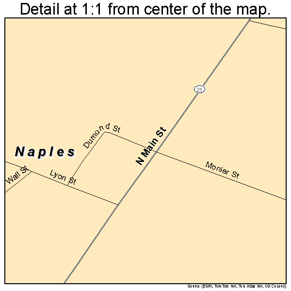 Naples, New York road map detail
