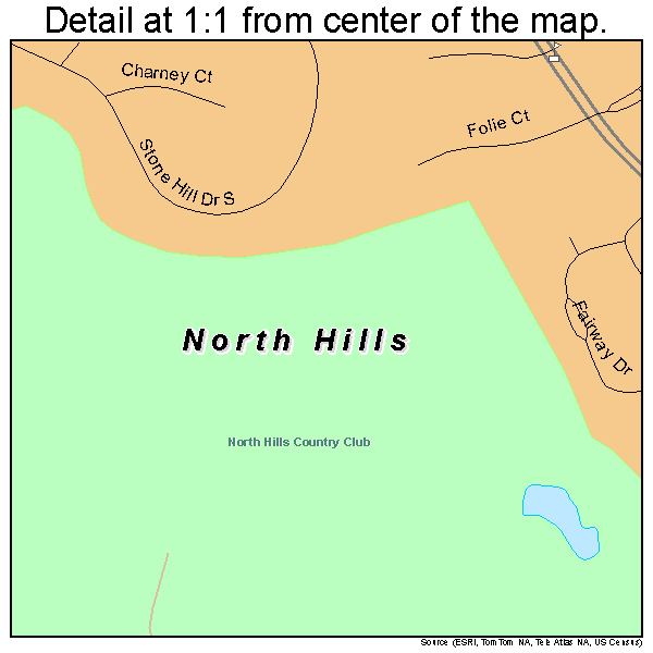 North Hills, New York road map detail