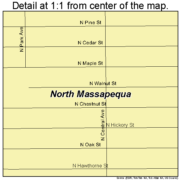 North Massapequa, New York road map detail