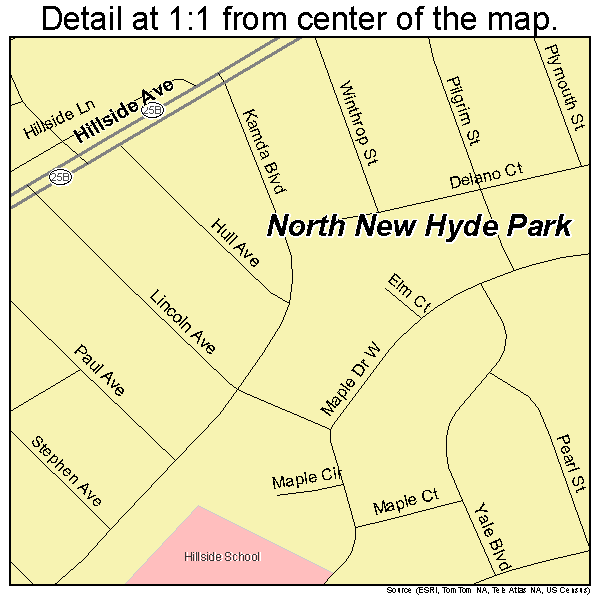 North New Hyde Park, New York road map detail