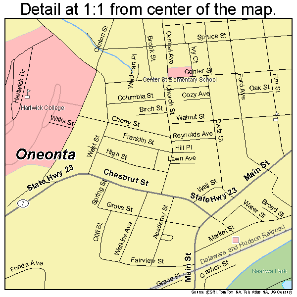 Oneonta New York Street Map 3654881