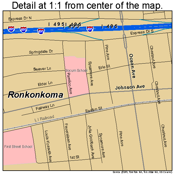 Ronkonkoma, New York road map detail