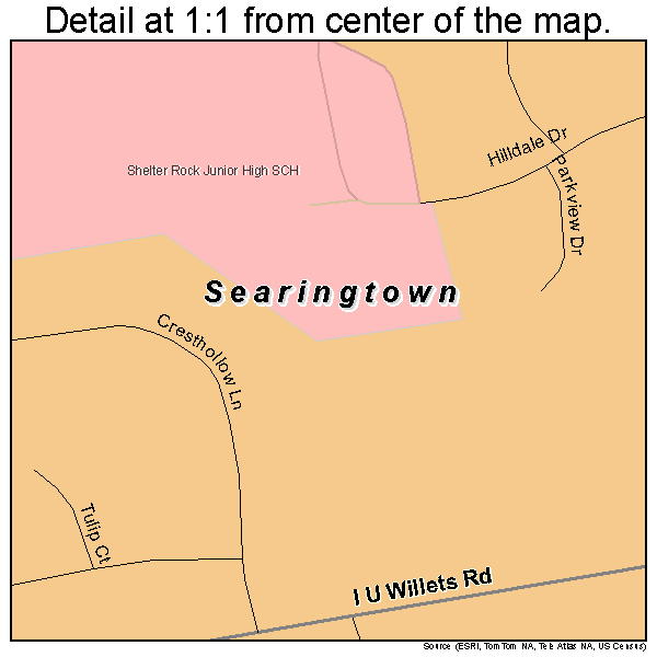 Searingtown, New York road map detail