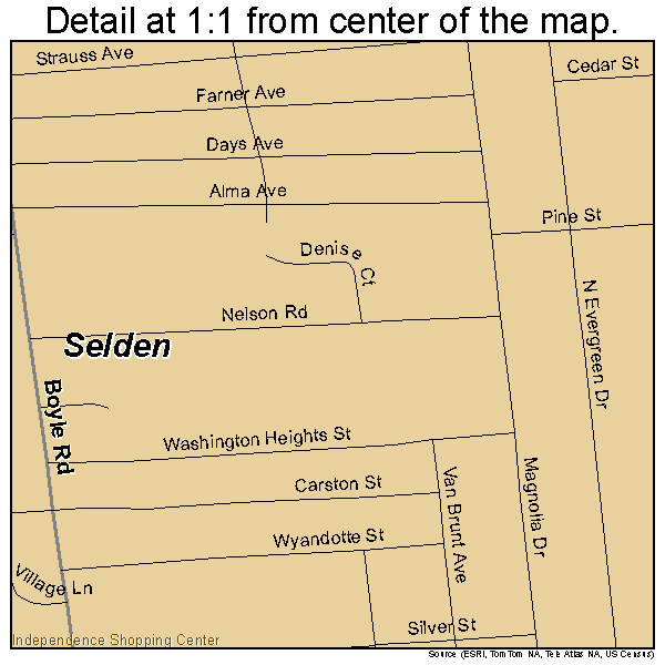 Selden, New York road map detail