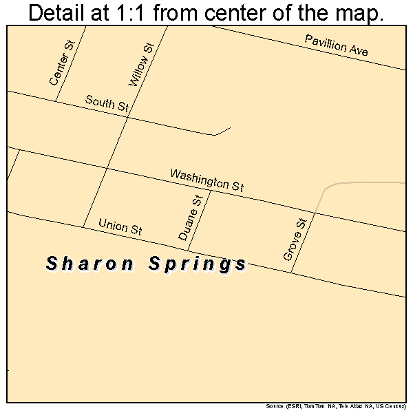 Sharon Springs, New York road map detail