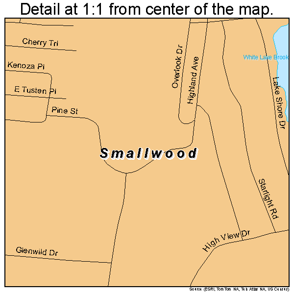 Smallwood, New York road map detail
