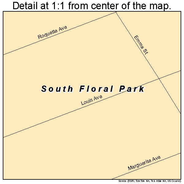 South Floral Park, New York road map detail