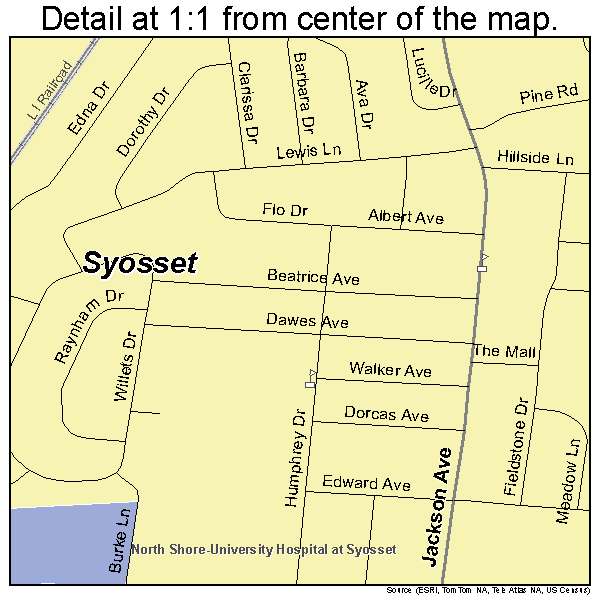 Syosset, New York road map detail