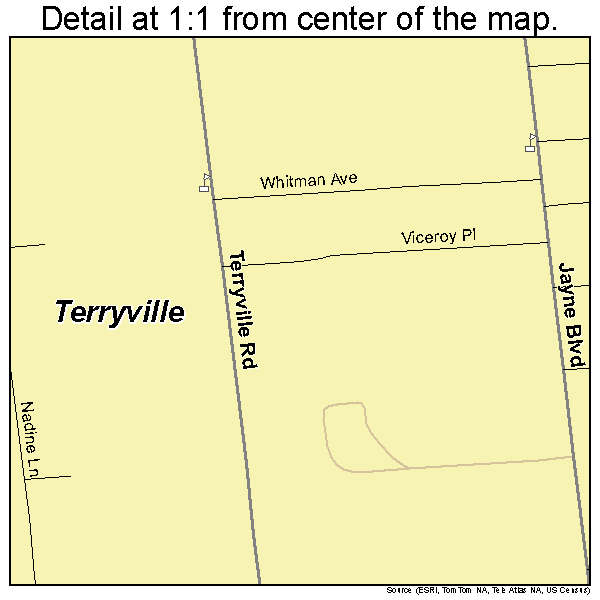 Terryville, New York road map detail