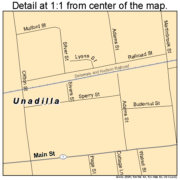 Unadilla, New York road map detail