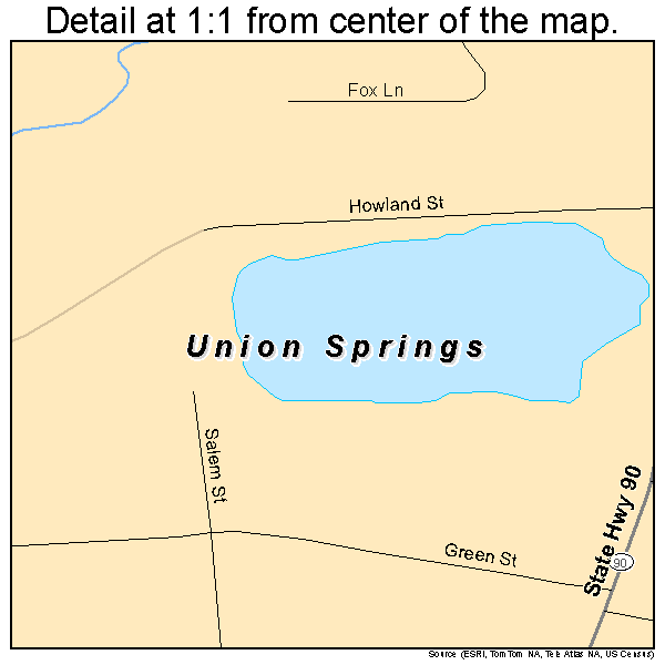 Union Springs, New York road map detail
