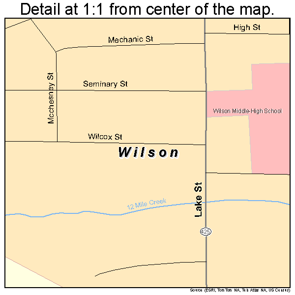 Wilson, New York road map detail