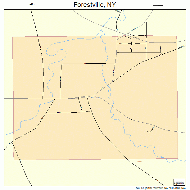 Forestville, NY street map