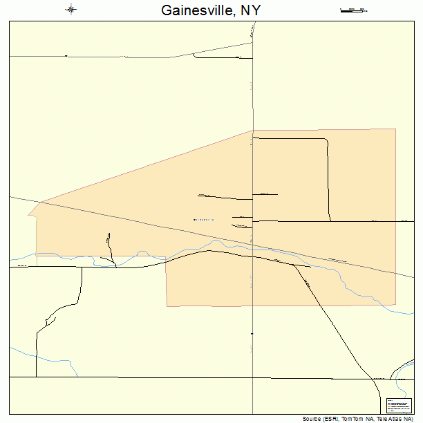 Gainesville, NY street map