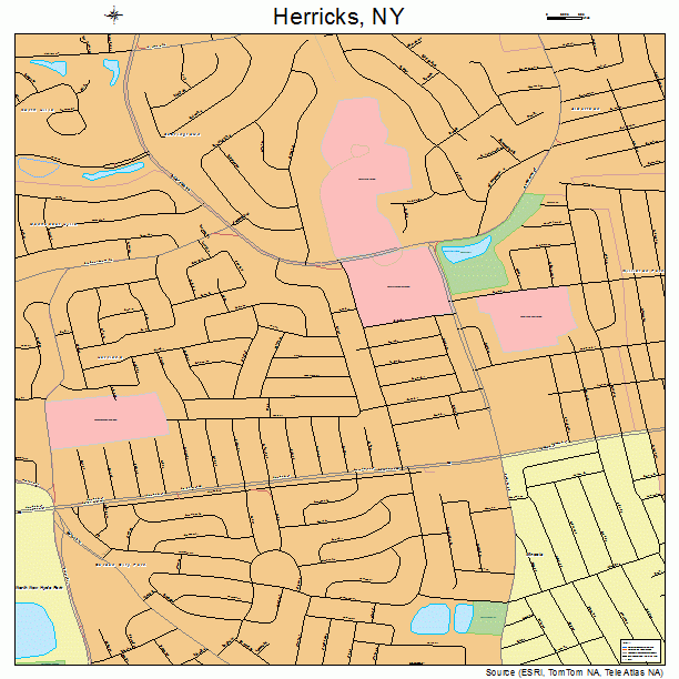 Herricks, NY street map
