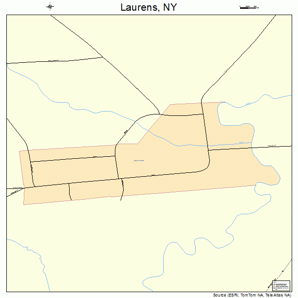 Laurens, NY street map