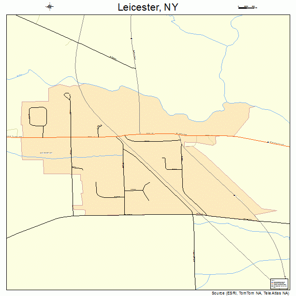 Leicester, NY street map