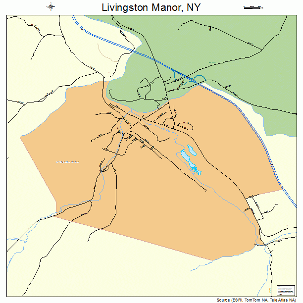 Livingston Manor, NY street map