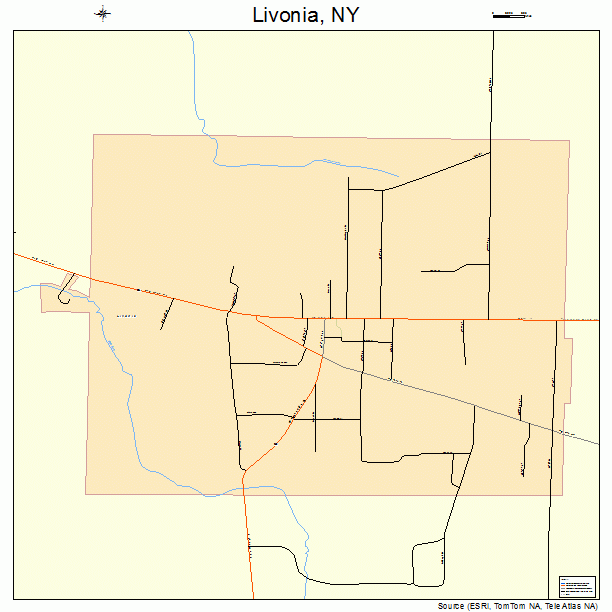 Livonia, NY street map