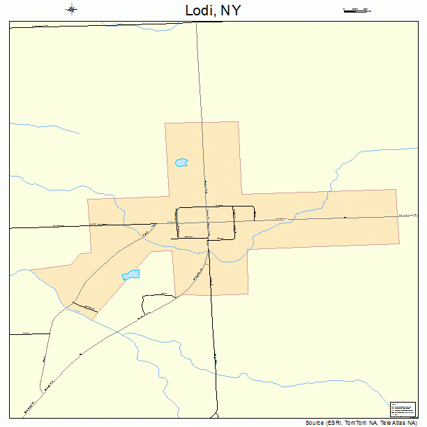 Lodi, NY street map