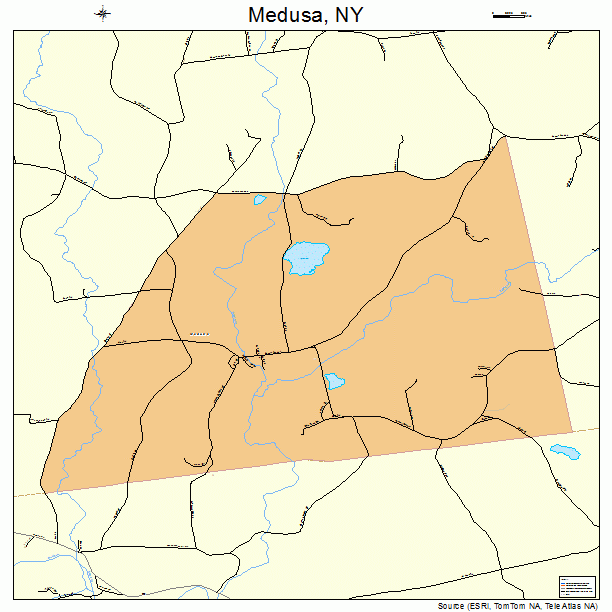 Medusa, NY street map