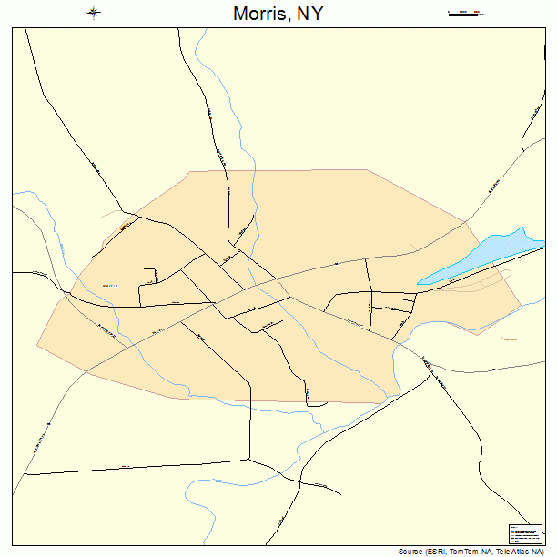 Morris, NY street map