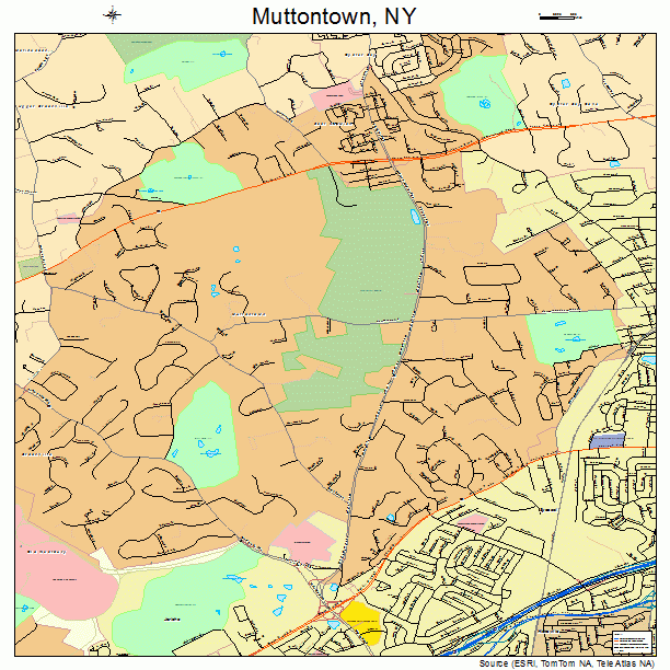 Muttontown, NY street map
