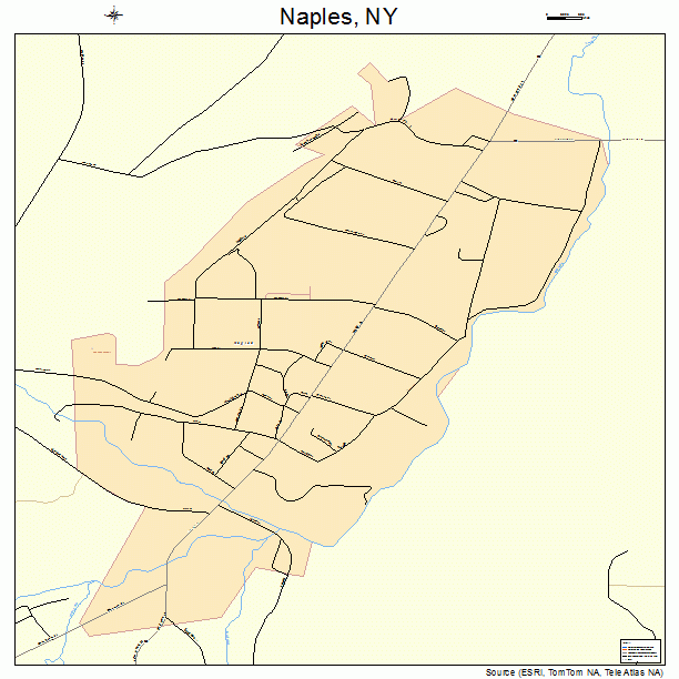 Naples, NY street map