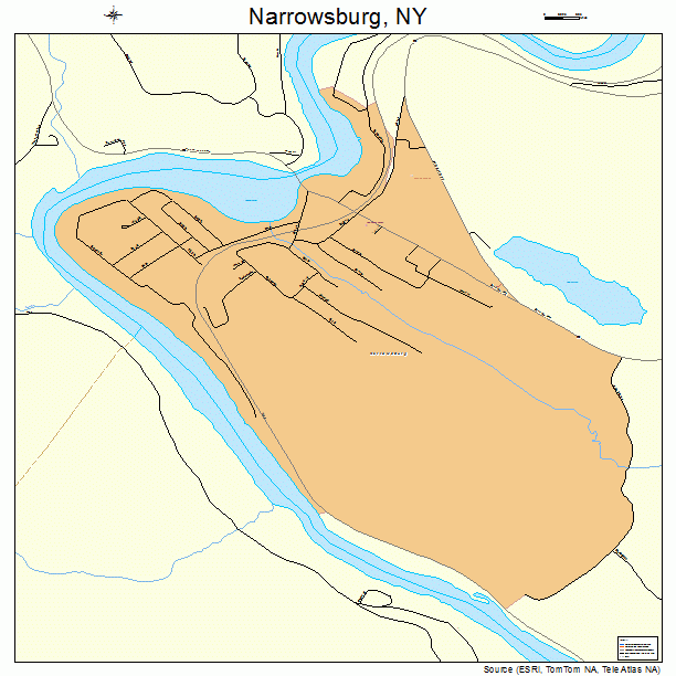 Narrowsburg, NY street map