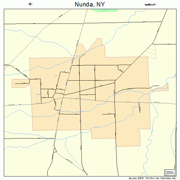 Nunda, NY street map