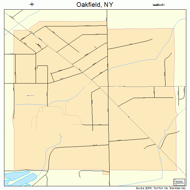 Oakfield, NY street map