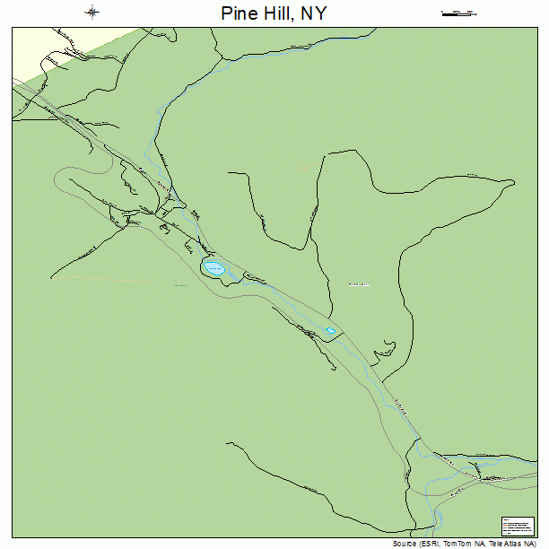 Pine Hill, NY street map