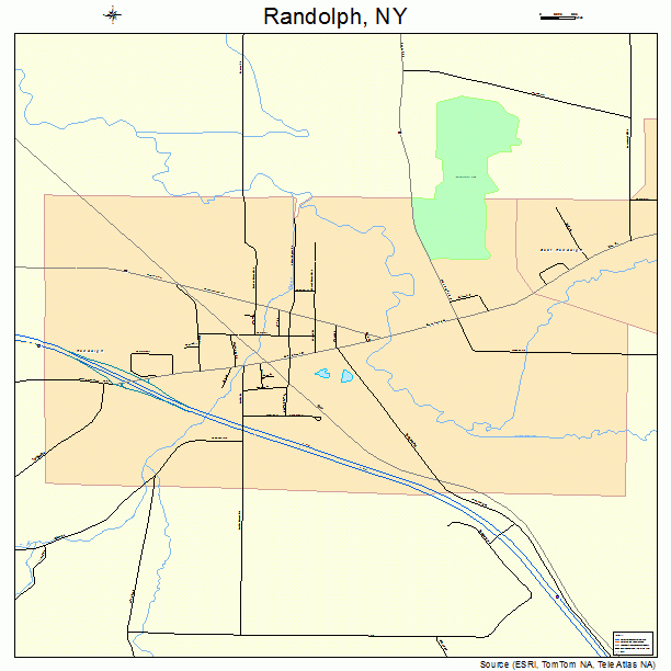 Randolph, NY street map