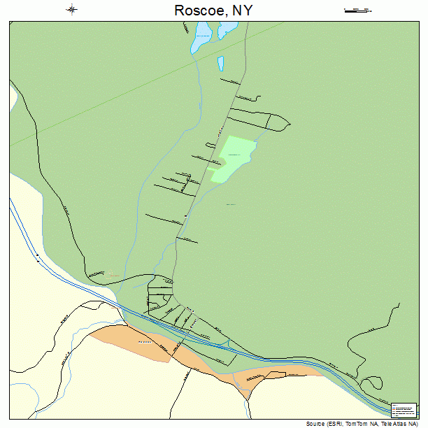 Roscoe, NY street map