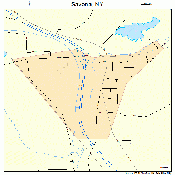 Savona, NY street map