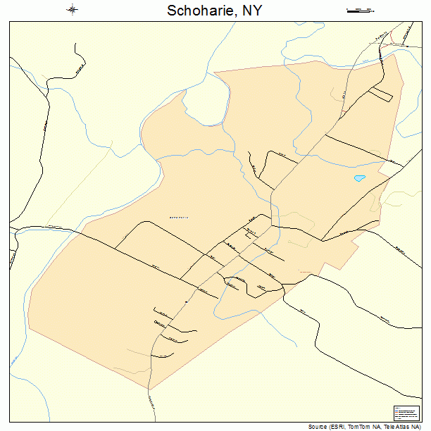 Schoharie, NY street map