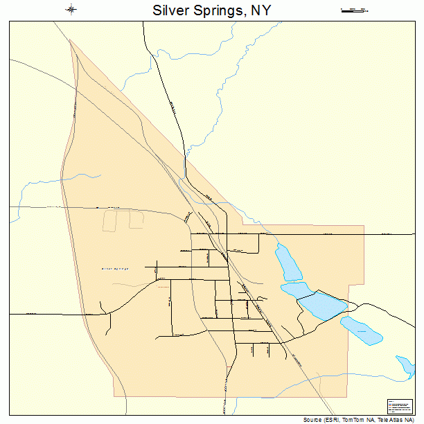 Silver Springs, NY street map